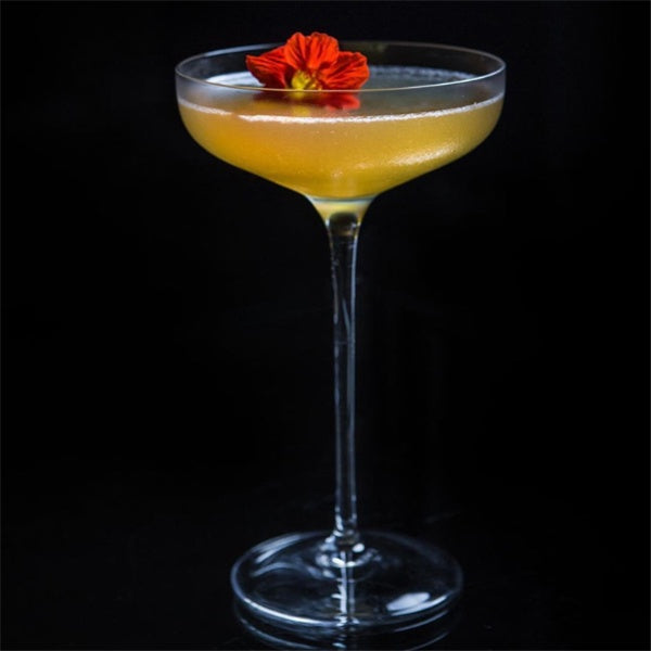 Tee Cocktail Glasses – Modern Drinkware for Cocktails & Spirits (Tokyo Series)
